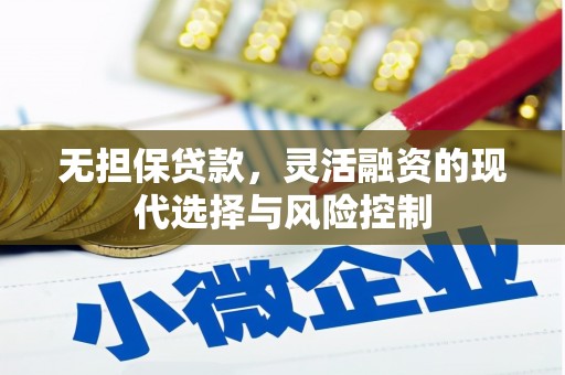 盐池无担保贷款，灵活融资的现代选择与风险控制