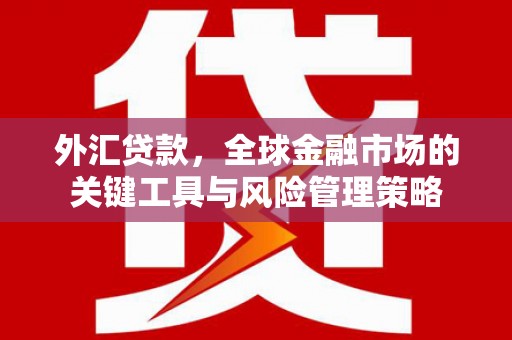 苏澳外汇贷款，全球金融市场的关键工具与风险管理策略