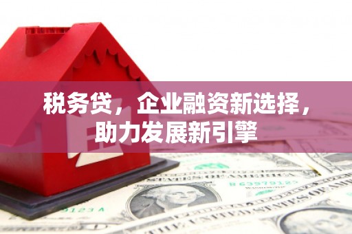 新北税务贷，企业融资新选择，助力发展新引擎