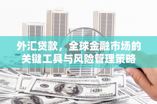 南木林外汇贷款，全球金融市场的关键工具与风险管理策略
