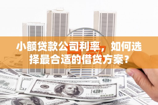 长武小额贷款公司利率，如何选择最合适的借贷方案？