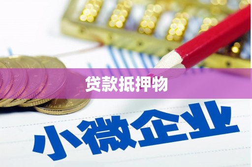 塔城贷款抵押物