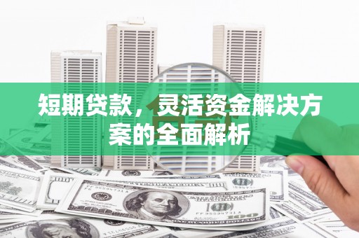 东凤短期贷款，灵活资金解决方案的全面解析