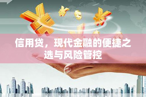 长武信用贷，现代金融的便捷之选与风险管控