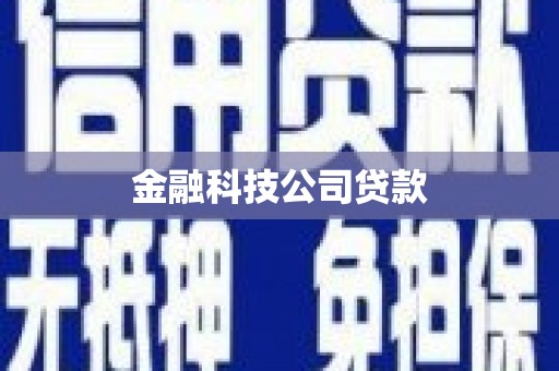 临沭金融科技公司贷款