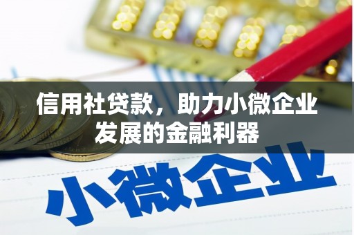 三沙信用社贷款，助力小微企业发展的金融利器