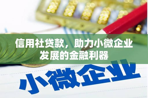 白云信用社贷款，助力小微企业发展的金融利器