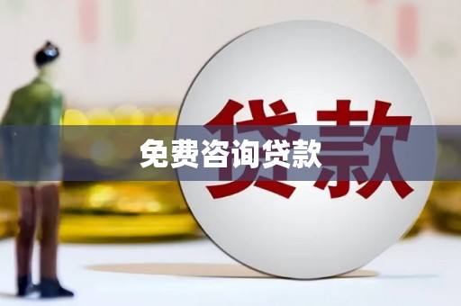 关岭免费咨询贷款