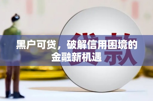 呼玛黑户可贷，破解信用困境的金融新机遇