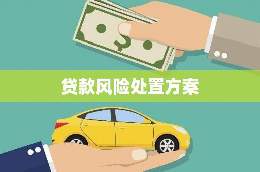 双柏贷款风险处置方案