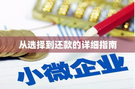大东从选择到还款的详细指南