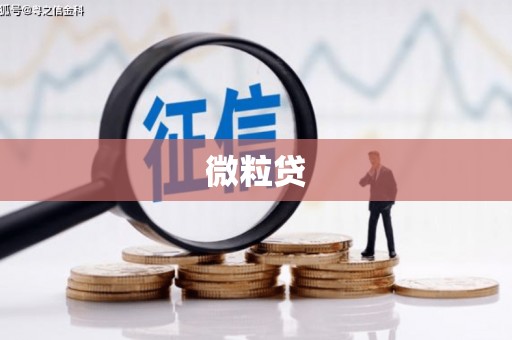 哈尔滨微粒贷