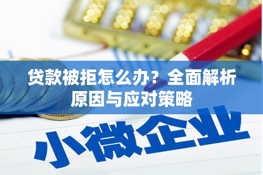 临夏贷款被拒怎么办？全面解析原因与应对策略