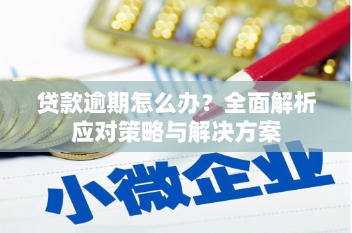 洪梅贷款逾期怎么办？全面解析应对策略与解决方案