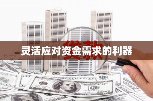 甘肃灵活应对资金需求的利器