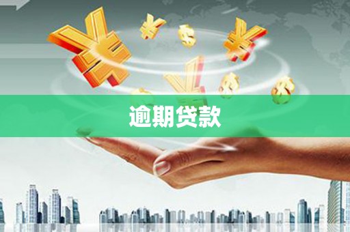 长丰逾期贷款