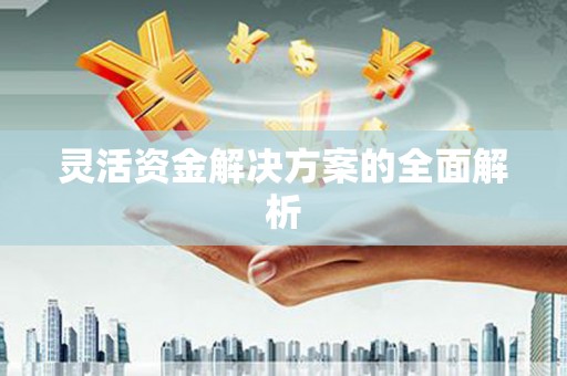 红安灵活资金解决方案的全面解析