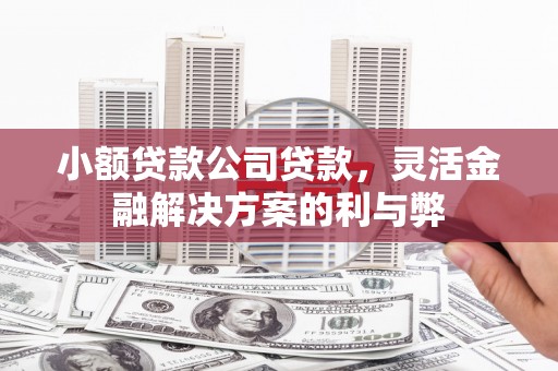 二水小额贷款公司贷款，灵活金融解决方案的利与弊